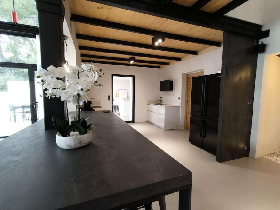 Industrial Luxury Nimes & Arles Villa Beaucaire  Ngoại thất bức ảnh